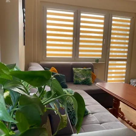 Arkonska * 什切青